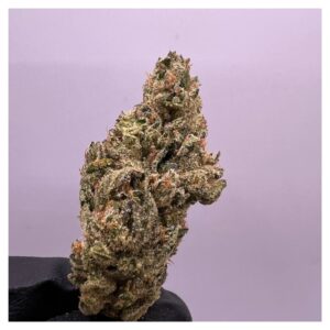 bestcoastsbud.cc