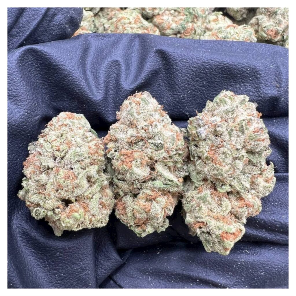 bestcoastsbud.cc