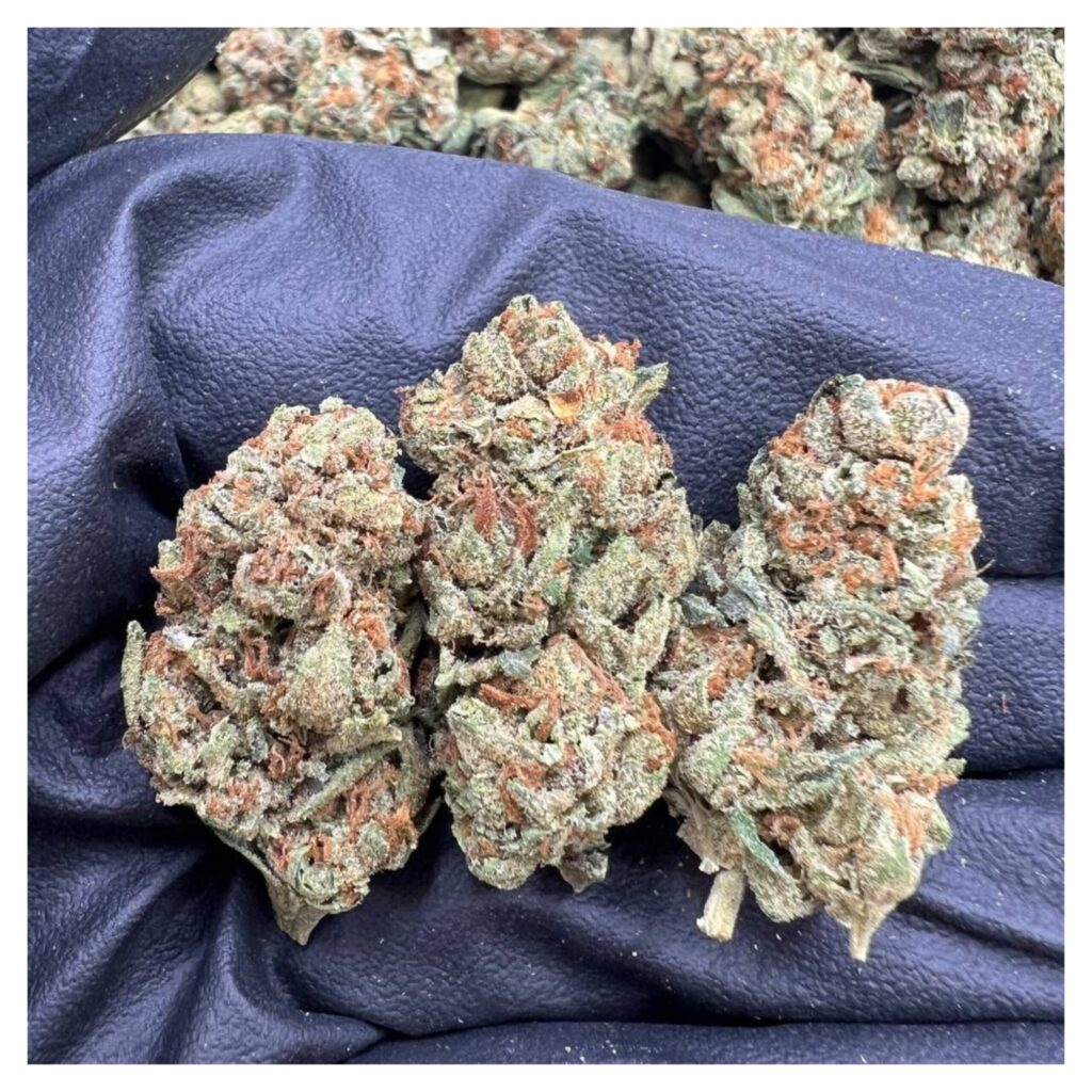 bestcoastsbud.cc