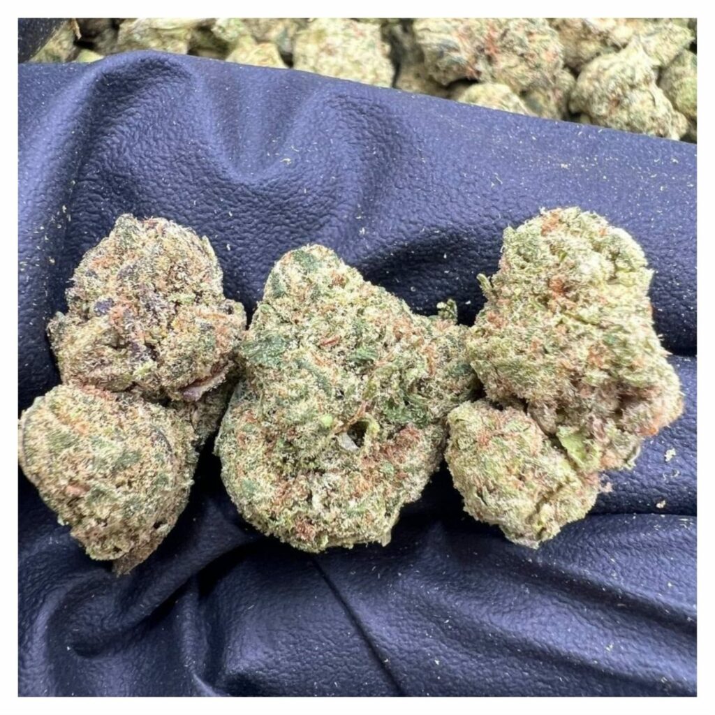 bestcoastsbud.cc