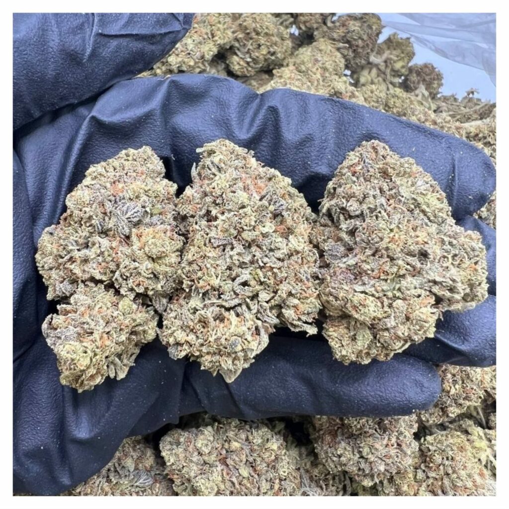 bestcoastsbud.cc