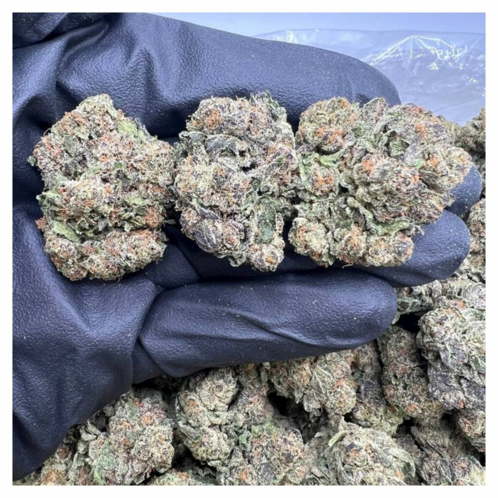 bestcoastsbud.cc