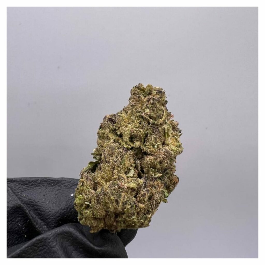 bestcoastsbud.cc