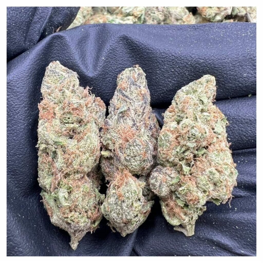 bestcoastsbud.cc