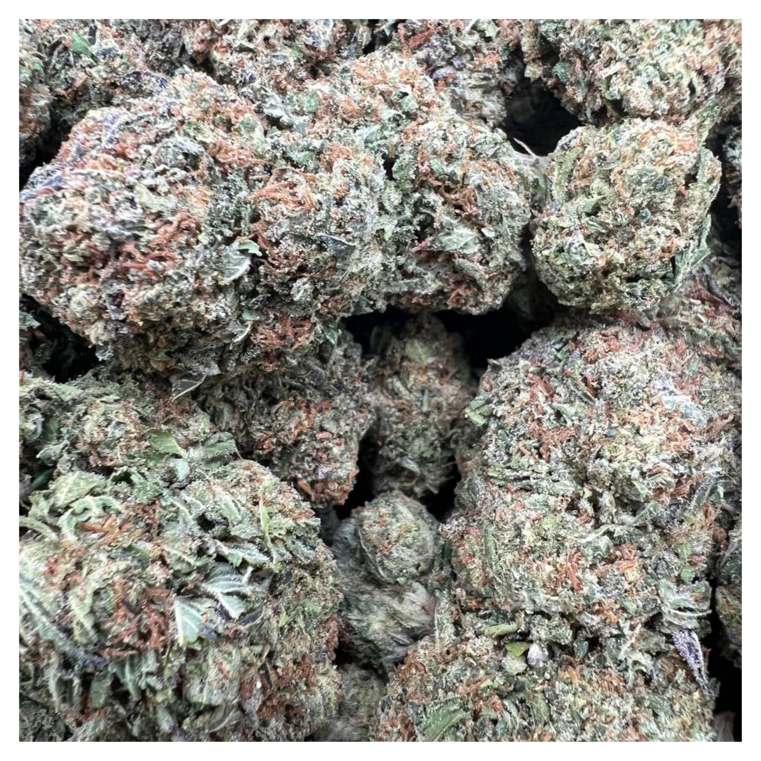 bestcoastsbud.cc