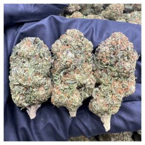 bestcoastsbud.cc