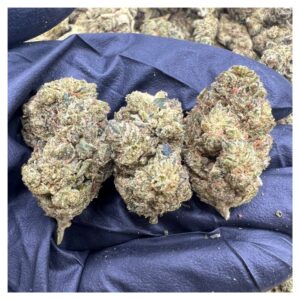 bestcoastsbud.cc