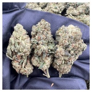 bestcoastsbud.cc